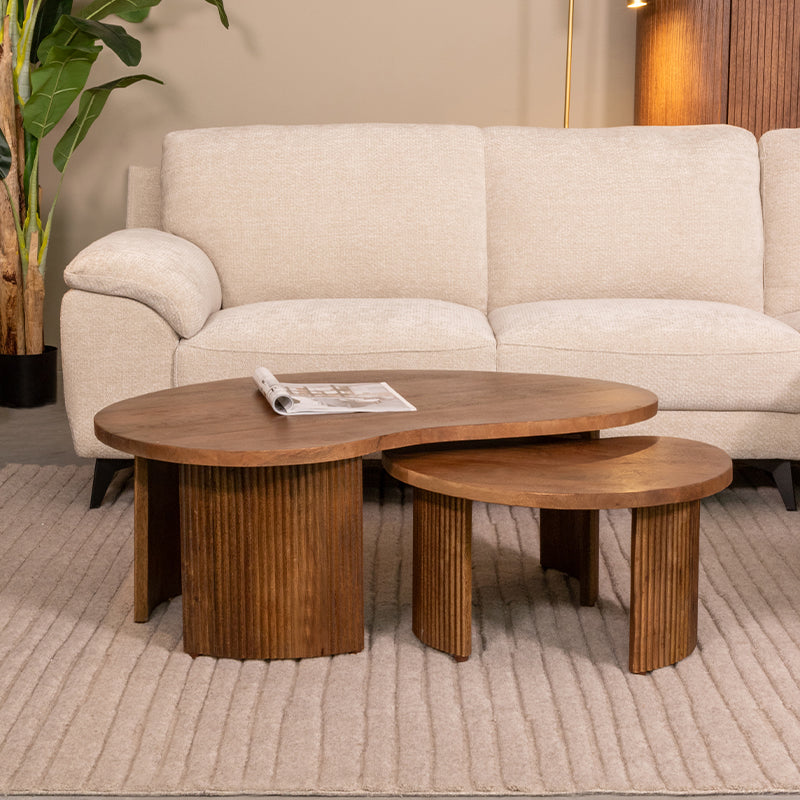 Salontafel Timon | Set 100x58x40 cm