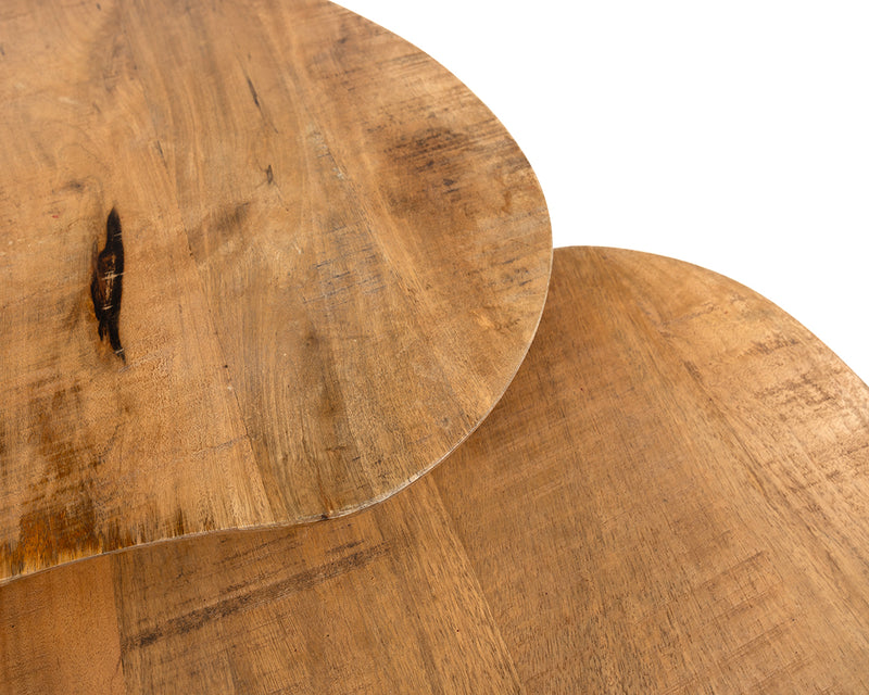 Erfurt | Massief Mangohout - Smooth Natural - Gelakt | salontafel organisch, set van 2,