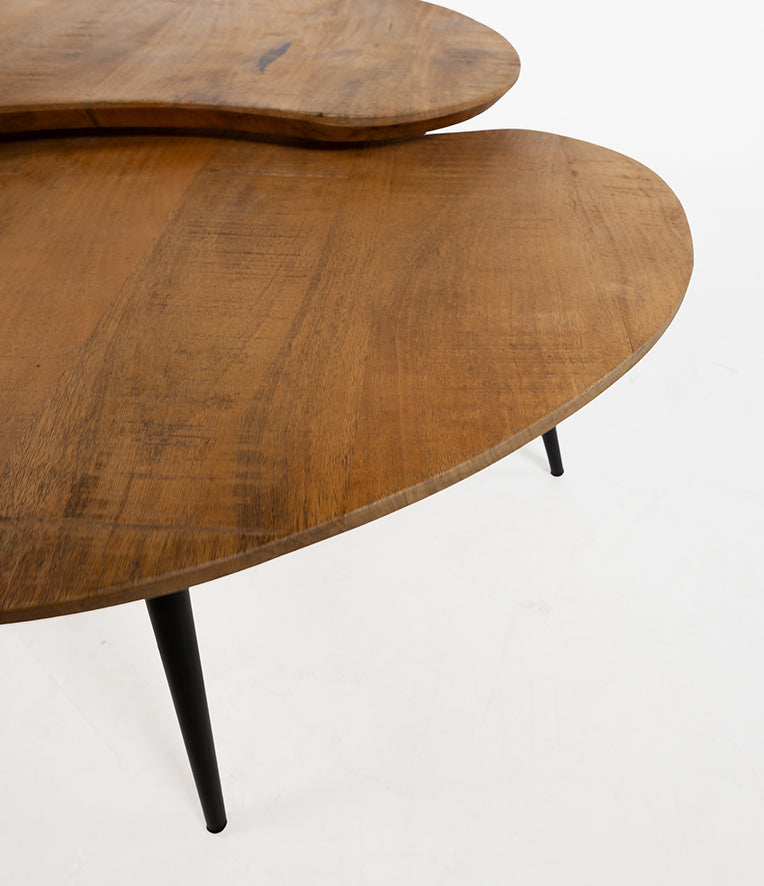 Erfurt | Massief Mangohout - Smooth Natural - Gelakt | salontafel organisch, set van 2,