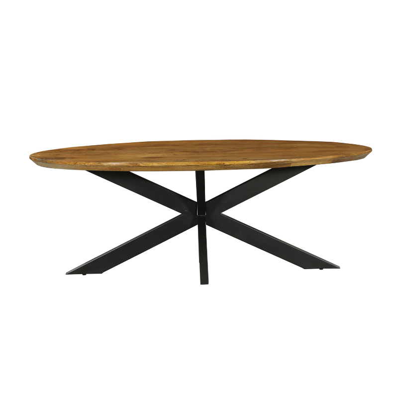 Eettafel Brandy | Mangohout | Ovaal | Matrixpoot | 300x120cm