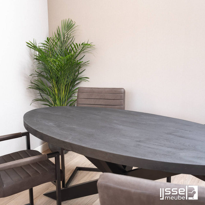 Eettafel Gladstone Black | Mangohout | Ovaal | Matrixpoot