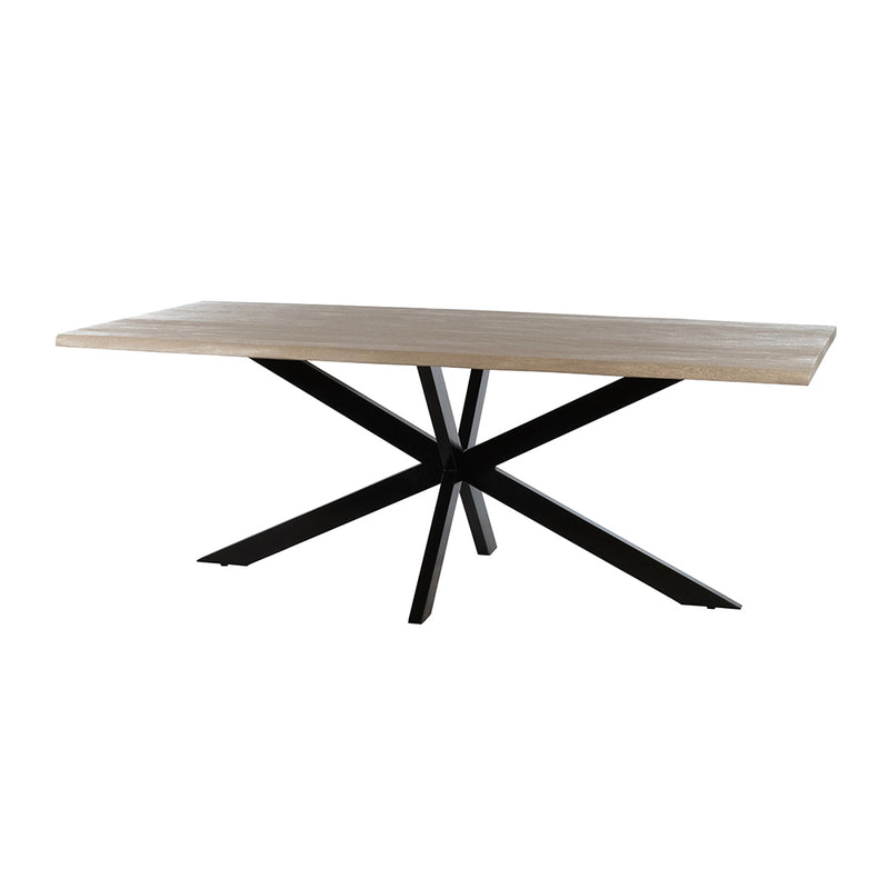 Eetkamertafel Fantasy | Acaciahout | Rechthoek | Matrixpoot | 210cm