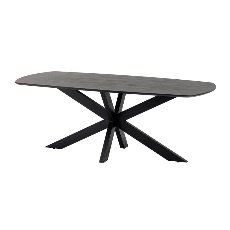 Eettafel Akagi Black | Mangohout | Deens ovaal | Matrixpoot | 210cm