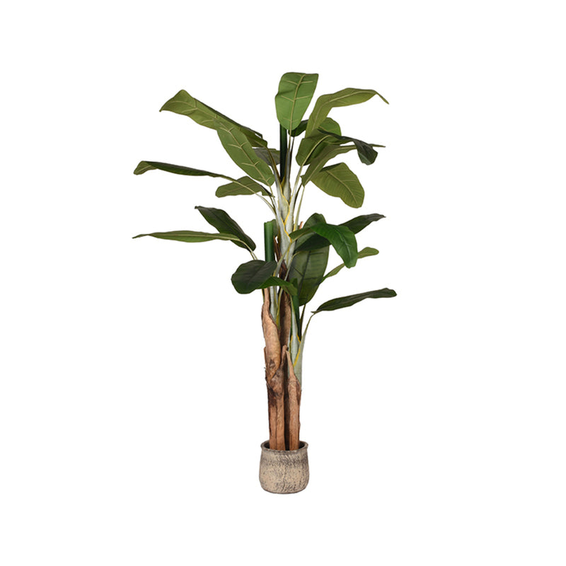 Musa | Kunststof | Groen 180 cm