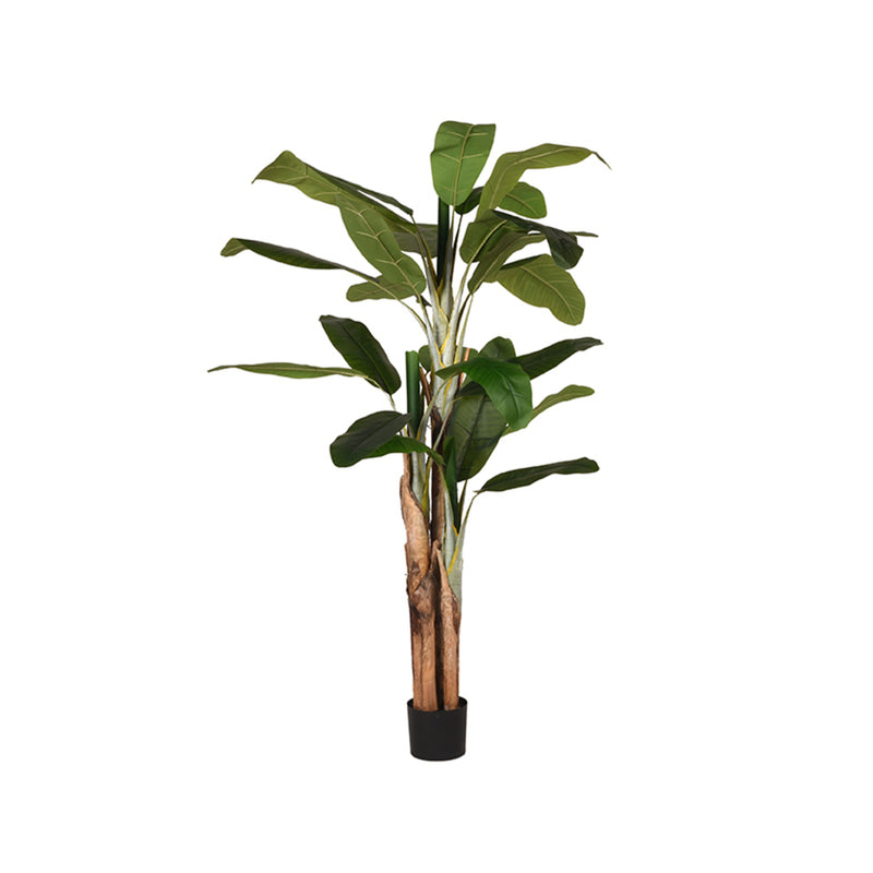 Musa | Kunststof | Groen 180 cm