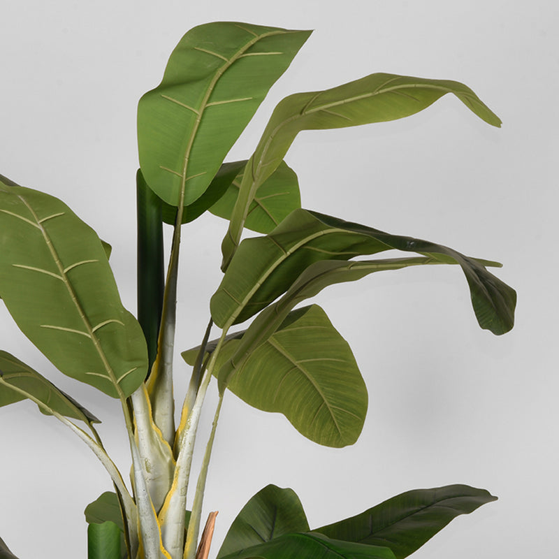 Musa | Kunststof | Groen 180 cm