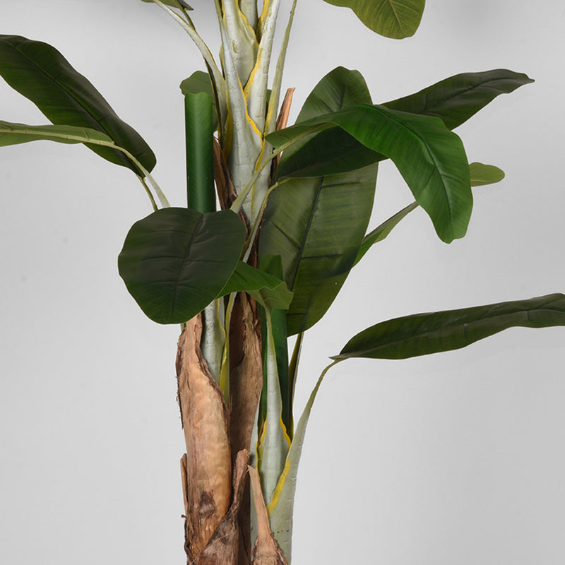 Musa | Kunststof | Groen 180 cm