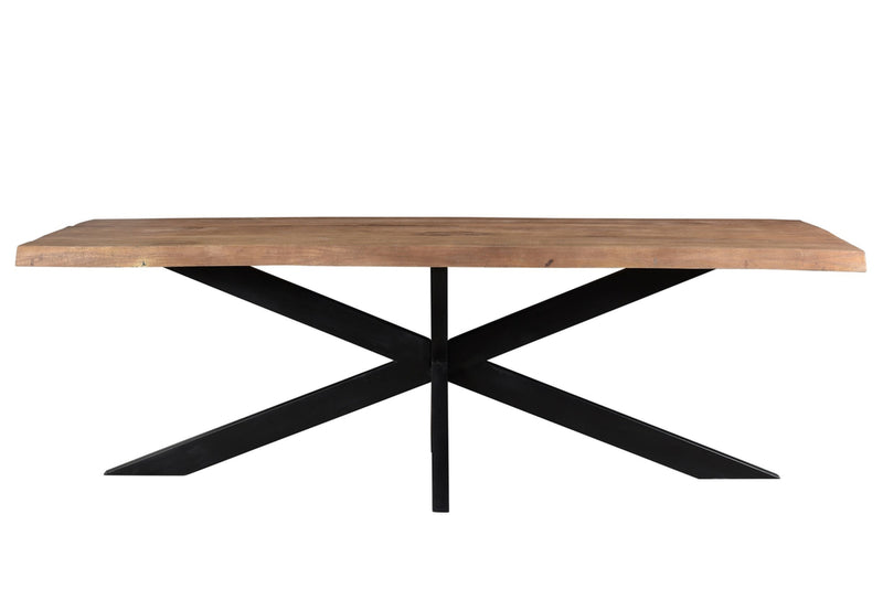 Nairobi Tree Top Spider | 200 x 76 cm | 200cm