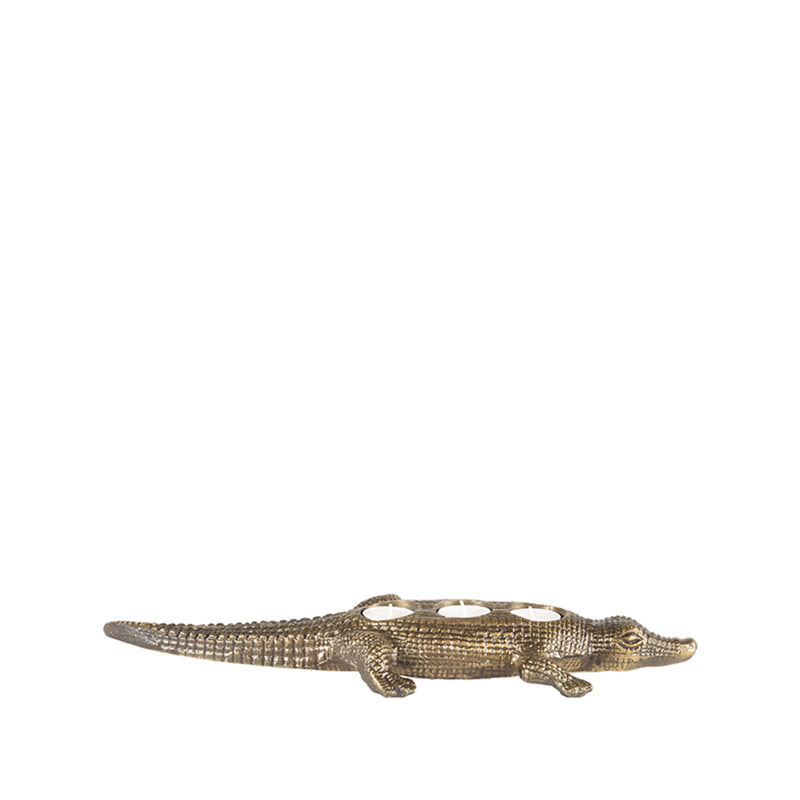 Krokodil | Metaal | Antiek goud